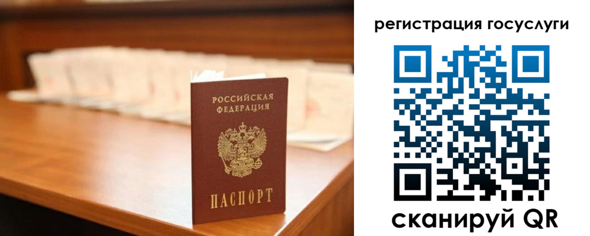 прописка в квартире в Зверево