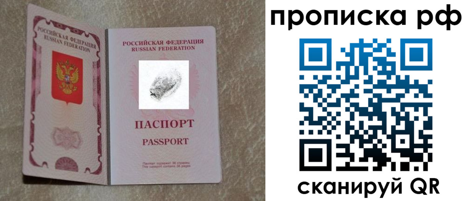 прописка поиск в Зверево